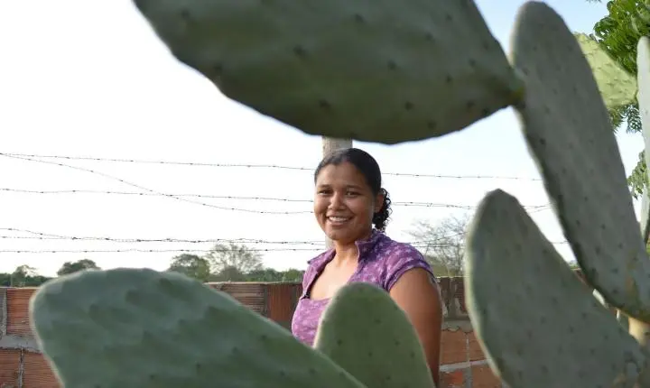 Mulheres comandam produção em duas em cada dez propriedades rurais